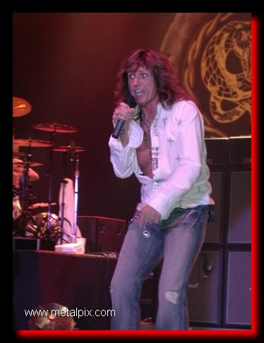 Whitesnake004