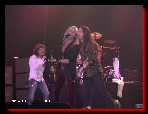 Whitesnake022